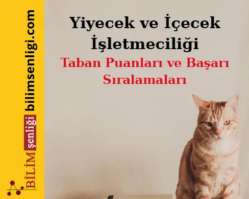 Yiyecek ve İçecek İşletmeciliği Bölümü (Eşit Ağırlık) Taban Puanları ve Sıralamaları (2025/2024) 1 Yiyecek ve İçecek İşletmeciliği Bölümü