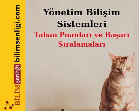 Yönetim Bilişim Sistemleri Bölümü