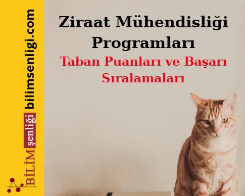 Ziraat Mühendisliği Programları Bölümü