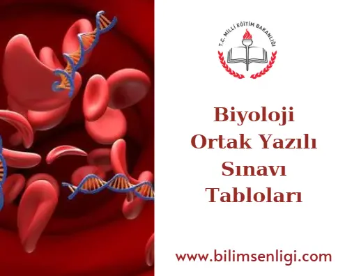 Biyoloji Ortak Yazılı Sınavı Tabloları